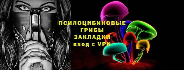соль ск Горно-Алтайск