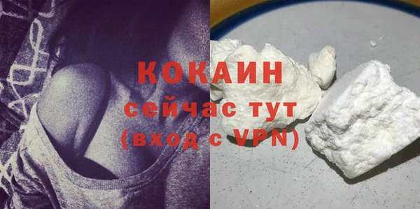 соль ск Горно-Алтайск