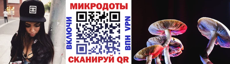 Купить закладки  Черкесск  Галлюциногенные грибы мицелий 